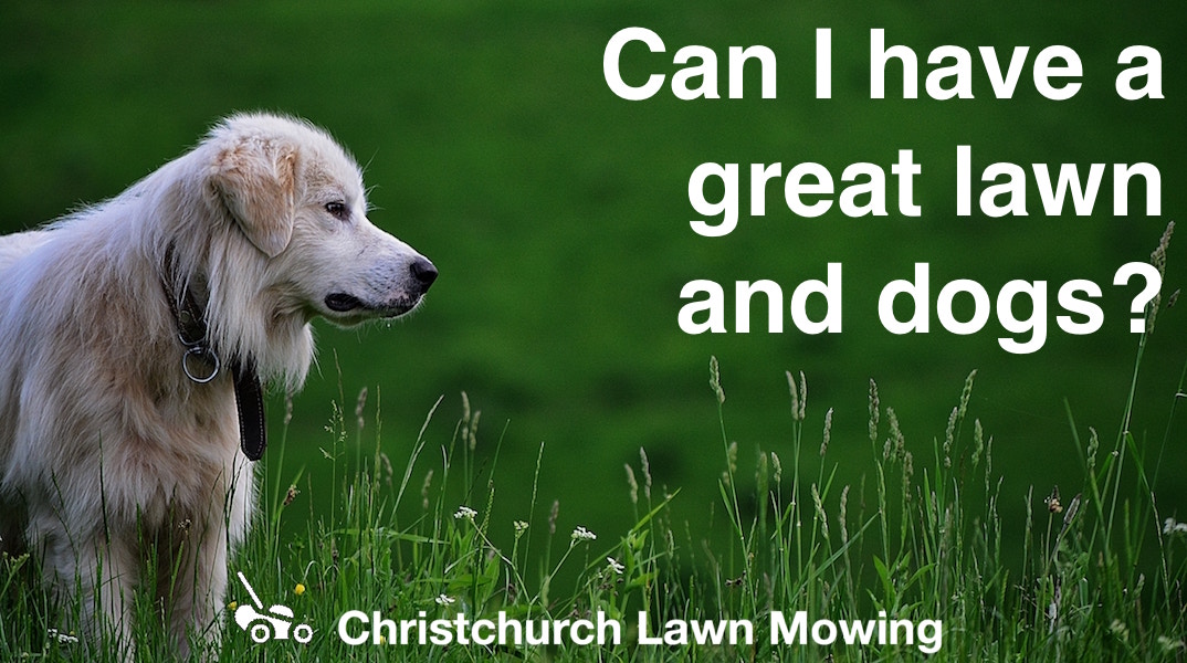 Christchurch Lawn Mowing